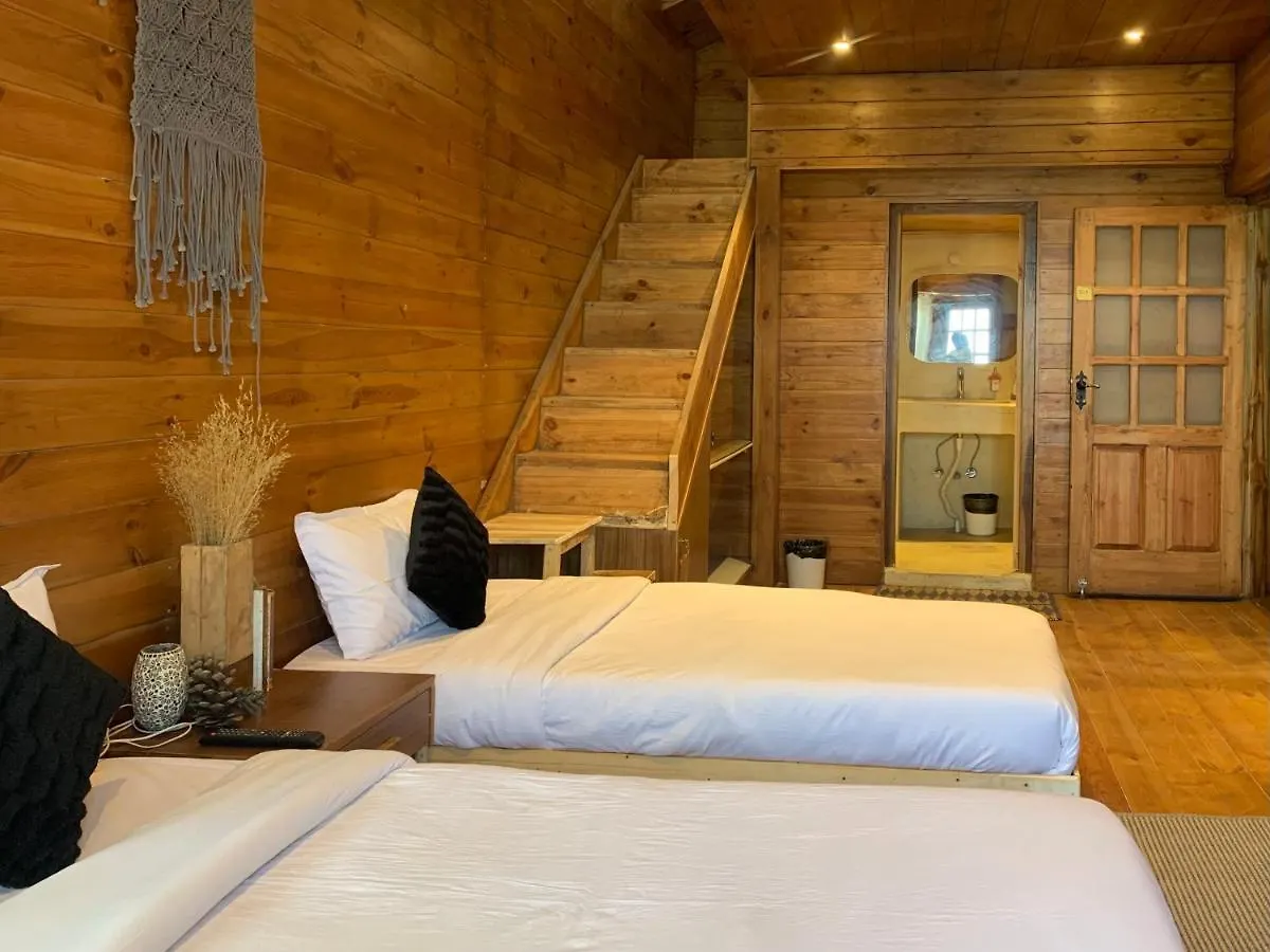 Sugar Cube Retreat Hostel Shimla