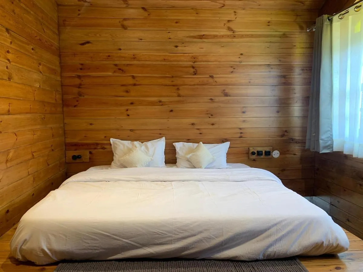 Sugar Cube Retreat Hostel Shimla India