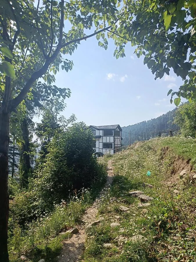 Sugar Cube Retreat Hostel Shimla