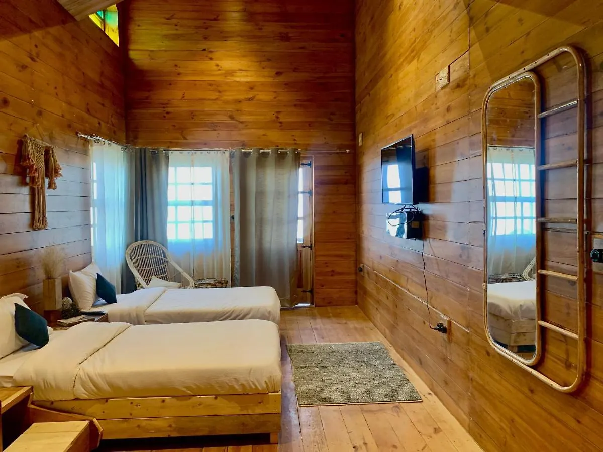 Sugar Cube Retreat Hostel Shimla